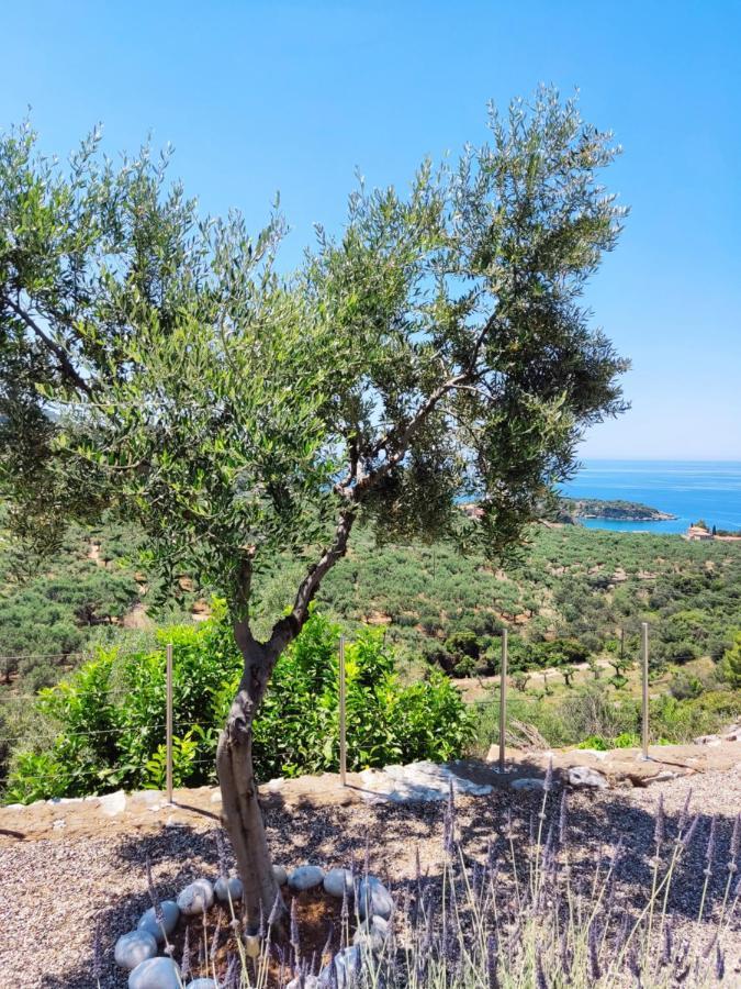 Athina'S Stone House In Kardamyliヴィラ エクステリア 写真