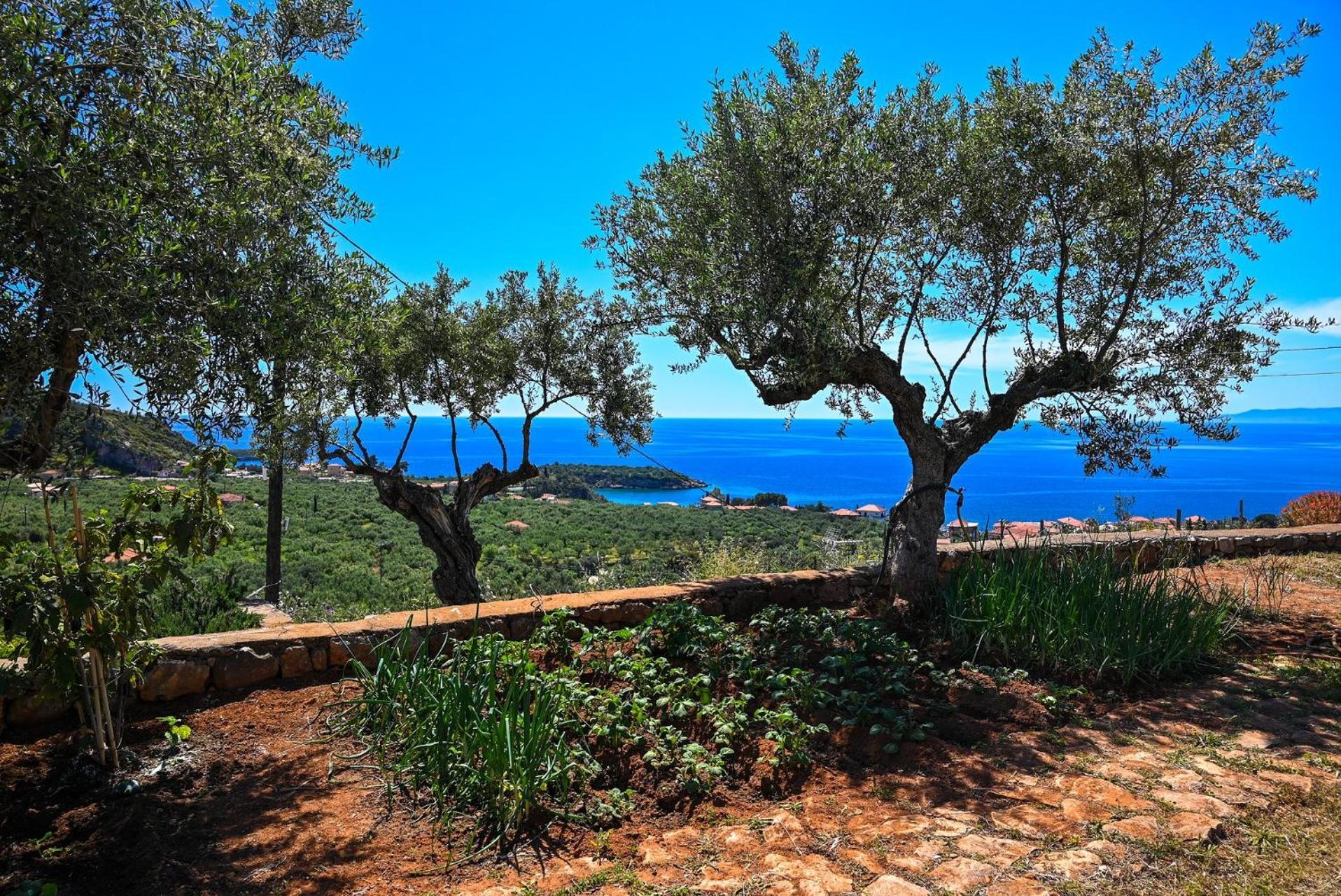 Athina'S Stone House In Kardamyliヴィラ エクステリア 写真