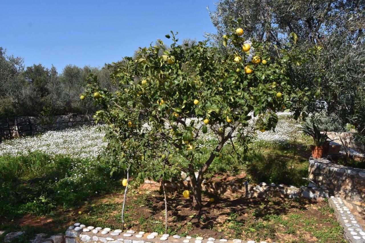 Athina'S Stone House In Kardamyliヴィラ エクステリア 写真