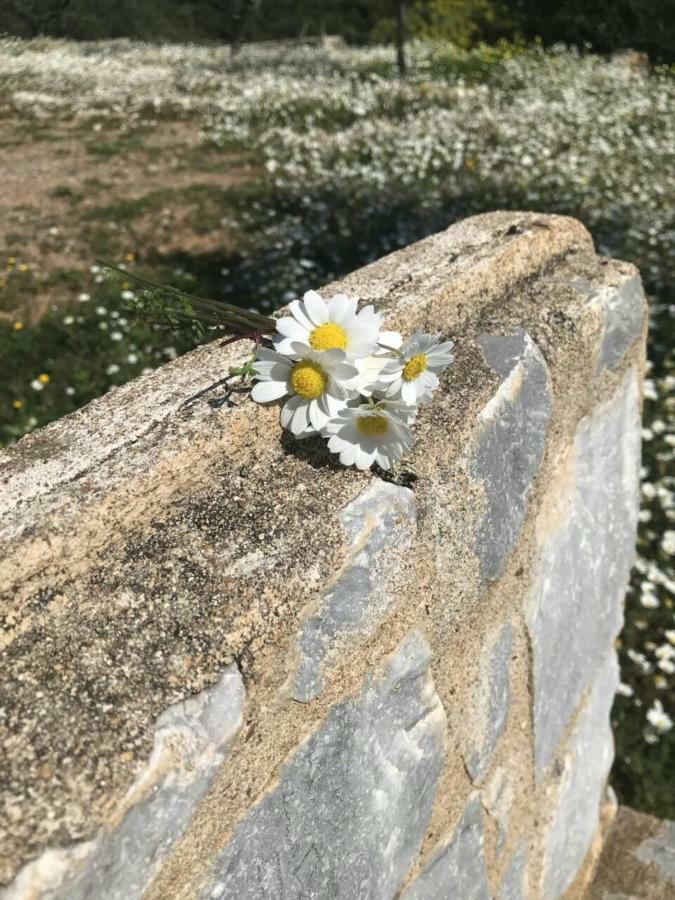 Athina'S Stone House In Kardamyliヴィラ エクステリア 写真